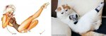 pinupcats20.jpg
