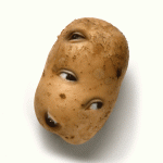 1459450064-abb7d6a25f7bdaf5e339320872022741.gif