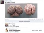 1461074829-9376ac5f45f69123a48b5b9146e91d66.jpeg