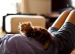 kitten-13.jpg
