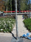 IMG_1208.jpg