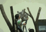 1460484100-a2cf33670a2cf71d8938a37bbd5ae037.gif