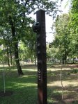 IMG_0456.jpg