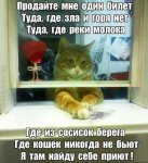 image (21).jpg