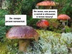 AypCuzJGgW4.jpg