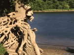 Woman-Fail-GIF-2015.gif