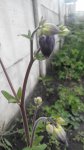 2016508175027.jpg