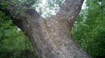 IMG_20160509_132143.jpg