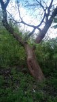 IMG_20160509_132156.jpg
