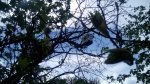 IMG_20160509_132226.jpg