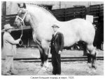 Самий-великий-кінь-1928.jpg