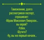13179333_1538798496428226_2857716708314494849_n.jpg
