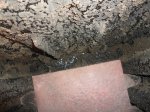 DSC04639.JPG