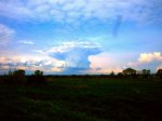 IMG_1614.jpg