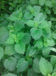 20160511_103701.jpg