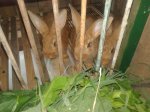 20160505_170511.jpg