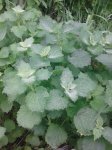 20160511_103647.jpg