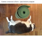 image.jpeg