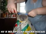 EzH2gARtDq_9501797_22023962.jpg
