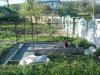 DSC00650.jpg