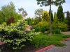 Фото0041-m.jpg