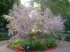 Фото0054-m.jpg