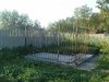 DSC00656.jpg