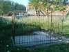 DSC00658.jpg