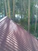 Зобр065.jpg