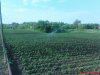DSC00881.jpg