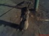 DSC00875.jpg