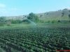 DSC00883.jpg