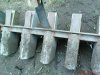 DSC00894.jpg