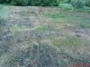 DSC00905.jpg