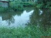 DSC00906.jpg