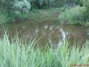 DSC00907.jpg
