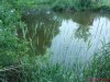 DSC00908.jpg