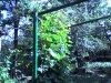 SP_A0242.jpg
