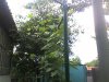 SP_A0224.jpg