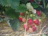 15062011157.jpg