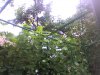 SP_A0222.jpg