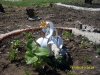 SDC12642.jpg