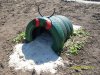 SDC12647.jpg