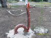 SDC12686.jpg