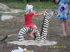 SDC12688.jpg