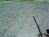 DSC00916.jpg