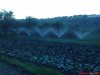 DSC00912.jpg