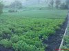 DSC00921.jpg