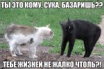 2c7a6a2b8058cc1406f1690d6c9a4f3b4e1ed1246846457.jpg