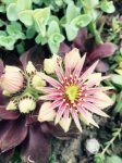 upload_2016-5-26_22-36-43.jpeg